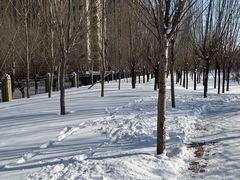 -丁香湖公园