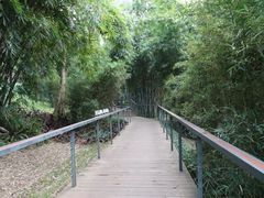 景点-云溪植物园
