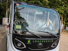 -日照海滨国家森林公园