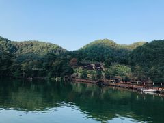 -天台国家森林公园水上茶乡九鹏溪