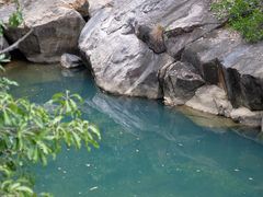 -广州白江湖森林公园