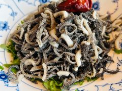 -玖五京菜(杭州城北万象城店)