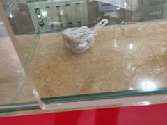 -杨招娣糕点(装驾桥巷店)