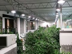 -滕头生态酒店(奉化店)