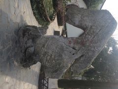 朱家角课植园-朱家角课植园