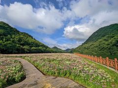 -广州市石门国家森林公园
