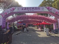 -南汇桃花村