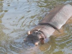-西霞口神雕山野生动物世界