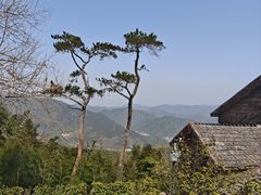 -莫干山风景区