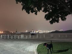 -鼓浪屿内厝澳码头(轮渡站)