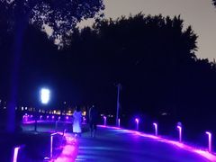 -莫子山公园