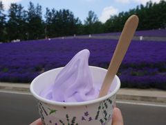 -富田农场