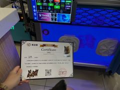 -美迦爱-牙专科·兔科·骨科诊疗中心(北苑店)