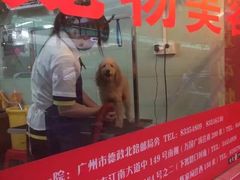 -瑞派动物医院·绝育·犬猫全科·预防医学(光景江南中店)