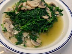 -旺山·浪头人家