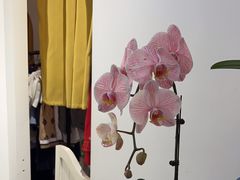 -云城照相馆(龙湖雨山天街店)