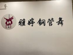 -柯宏＆雅婷塑形钢管舞蹈