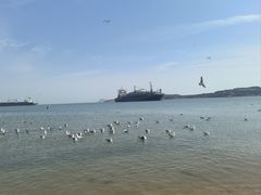 -海驴岛(荣成市)