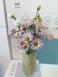 -小梨·OndaPro·专业脱毛连锁机构