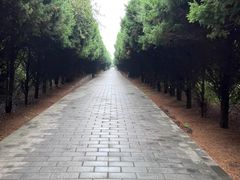 -秦始皇帝陵博物院-丽山园