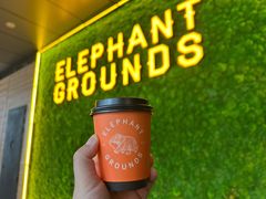-大象园ELEPHANT GROUNDS(万象天地店)