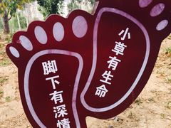 -燕郊植物园