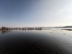 -洱海月湿地公园
