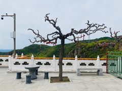 -妙峰山风景名胜区