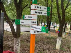 -云碧峰国家森林公园