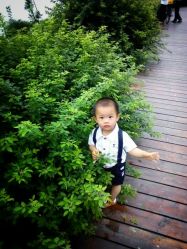 android_upload_pic-云湖游乐园