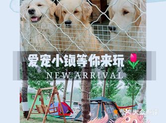 最近在家闷坏了强烈安利一个节假日带娃必去场所——爱宠
