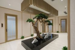 -HQ半永久纹绣纹眉