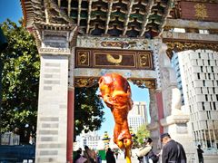 -顺城金记卤鸡·清真