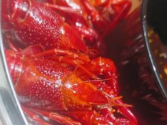 -巴厘龙虾·榜首油焖大虾(音乐学院·沿江酒馆店)