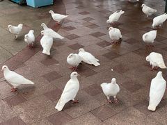 -国色天乡三期陆地乐园