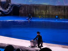 -华夏文旅海洋公园