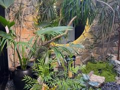 -陈熹公民族美食文化餐厅(中华广场店)