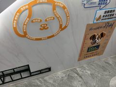 -pd派德宠物中心医院24H急重症·眼科中心·血液透析中心(嵩山北路店)