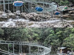 -九龙江国家森林公园