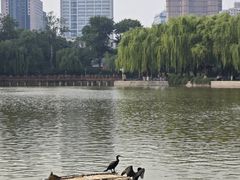 -中国农业博物馆
