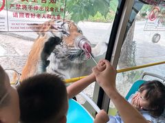 -栾川竹海野生动物园