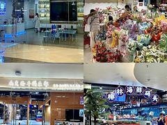 -飞翔公园(地铁站)