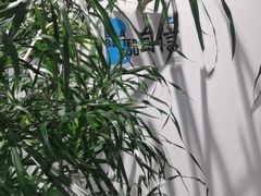 -Blueglass酸奶(财富购物中心店)