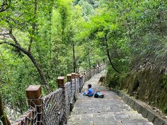 -广州白江湖森林公园