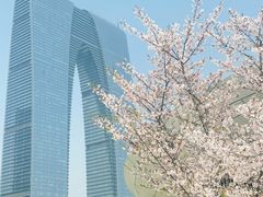 -金鸡湖景区