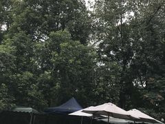 -成都市活水公园