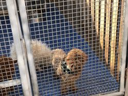 -萌宠亲子动物乐园(槐房万达店)