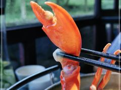 -野蔓果·山野菜(西湖景区·龙井茶田店)