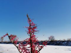 -镜泊湖风景区