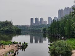 -重庆彩云湖湿地公园